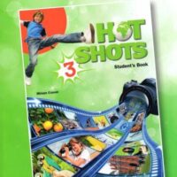 Hot Shots 3 Companion