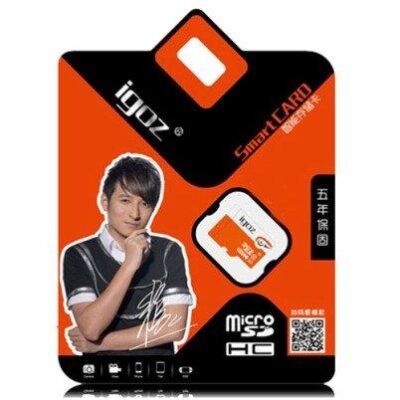 Κάρτα Micro SD 8GB Igoz