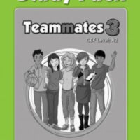 Teammates 3 A2 Study Pack